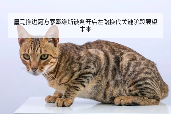 皇马推进阿方索戴维斯谈判开启左路换代关键阶段展望未来