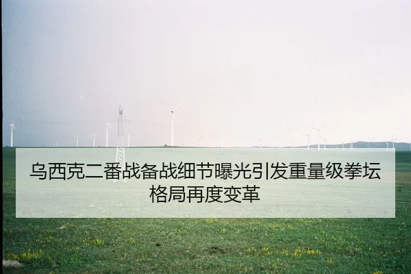 乌西克二番战备战细节曝光引发重量级拳坛格局再度变革