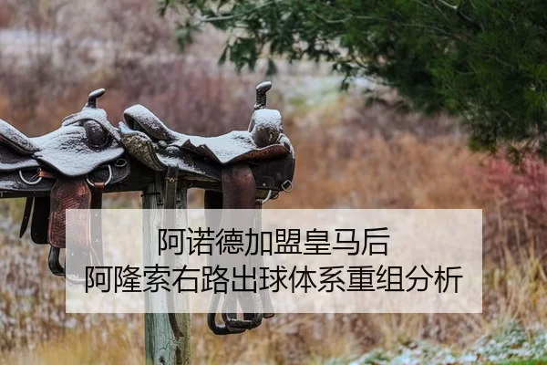 阿诺德加盟皇马后 阿隆索右路出球体系重组分析
