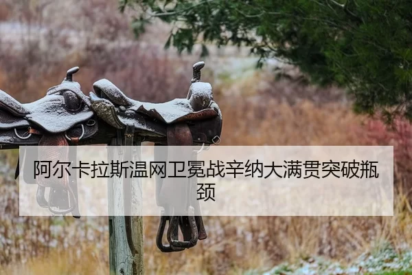 a-er-ka-la-si-wen-wang-wei-mian-zhan-xin-na-da-man-guan-tu-po-ping-jing-2-867.jpg