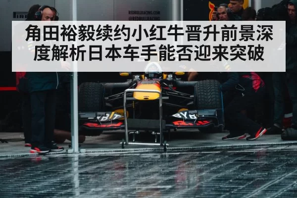 Red Bull racing team